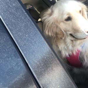 Meet your Posher, Kim